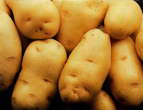 batatas.jpg